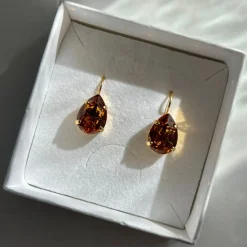 Caroline Svedbom Örhängen-Mini Drop Clasp Earrings