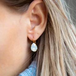 Caroline Svedbom Örhängen-Mini Drop Clasp Earrings