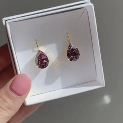 Caroline Svedbom Örhängen-Mini Drop Clasp Earrings