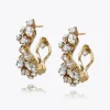Caroline Svedbom Örhängen-Stella Earrings/Crystal